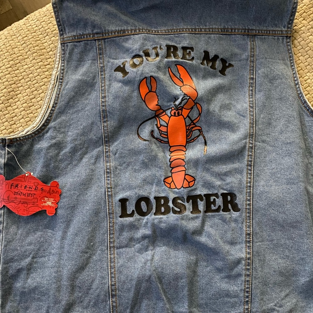 Friends Sleeveless Jean Jacket